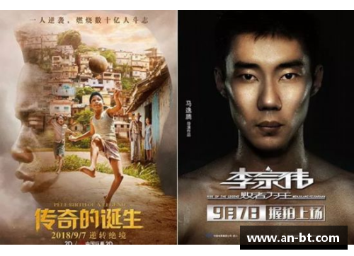 体育明星的辉煌成就与不屈精神的传奇之路