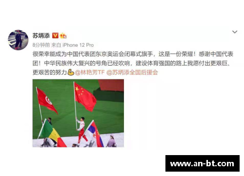 在拼搏与荣耀中闪耀的体育明星成长之路