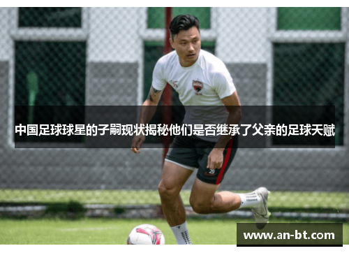 中国足球球星的子嗣现状揭秘他们是否继承了父亲的足球天赋
