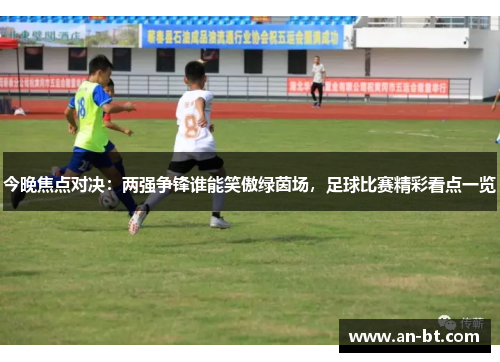 今晚焦点对决：两强争锋谁能笑傲绿茵场，足球比赛精彩看点一览
